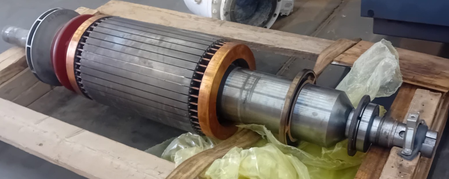 Large Electric Motor Rotor Repair